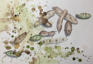 Kayla, Seeds and Beans, Mixed media, A2.