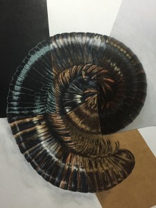 Kayla, Chongolongo [sic]. Mixed media, A2.